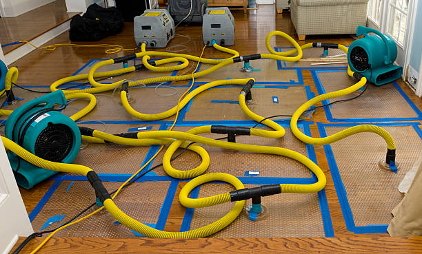Professional Sewage Cleanup technician working in Wellsville, OH